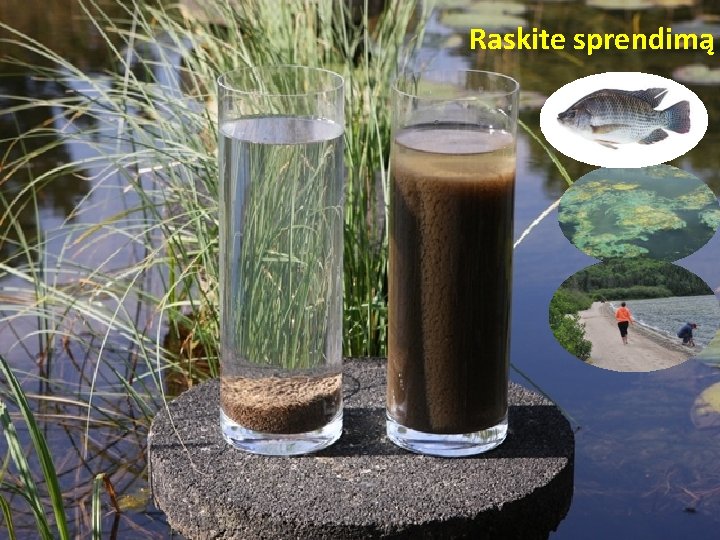 Raskite sprendimą What is the solution to prevent you Lake & Pond 