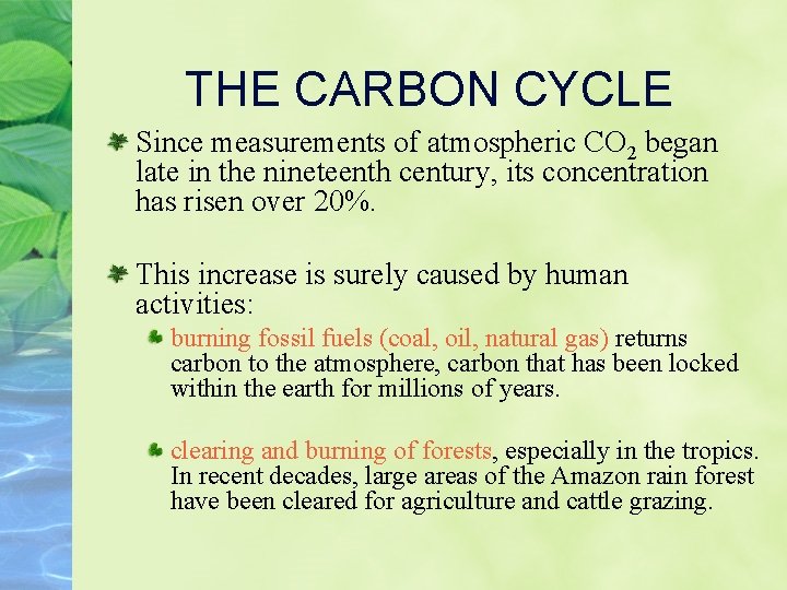 THE CARBON CYCLE Since measurements of atmospheric CO 2 began late in the nineteenth