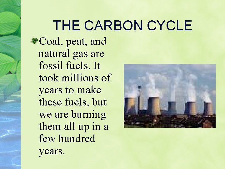 THE CARBON CYCLE Coal, peat, and natural gas are fossil fuels. It took millions