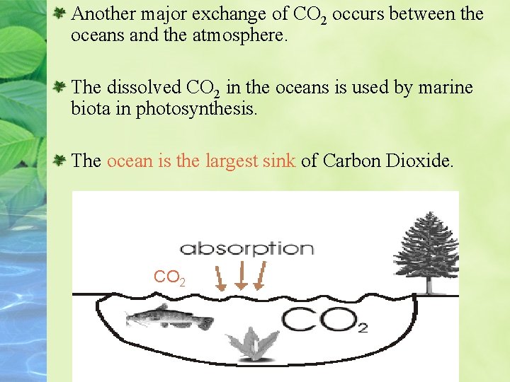 Another major exchange of CO 2 occurs between the oceans and the atmosphere. The