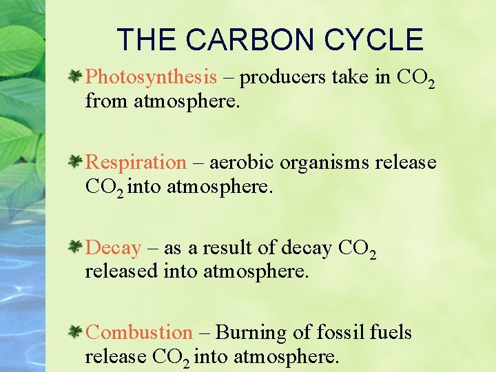 THE CARBON CYCLE Photosynthesis – producers take in CO 2 from atmosphere. Respiration –