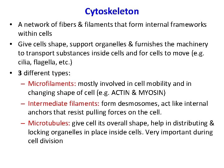Cytoskeleton • A network of fibers & filaments that form internal frameworks within cells