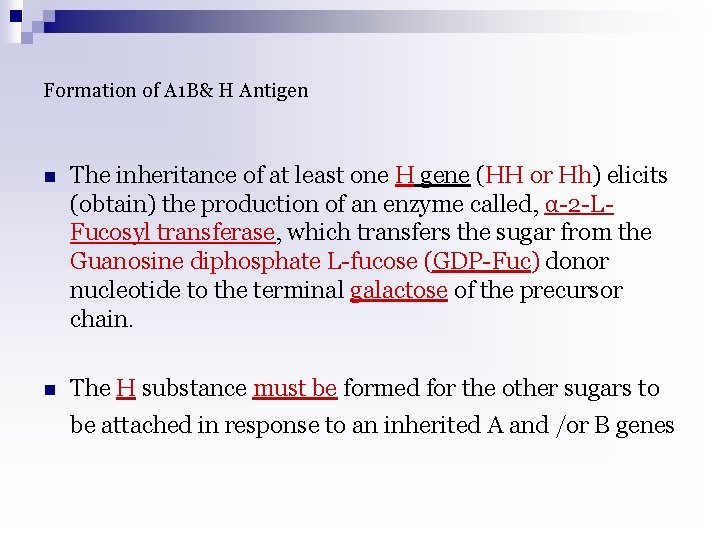 Formation of A 1 B& H Antigen n The inheritance of at least one