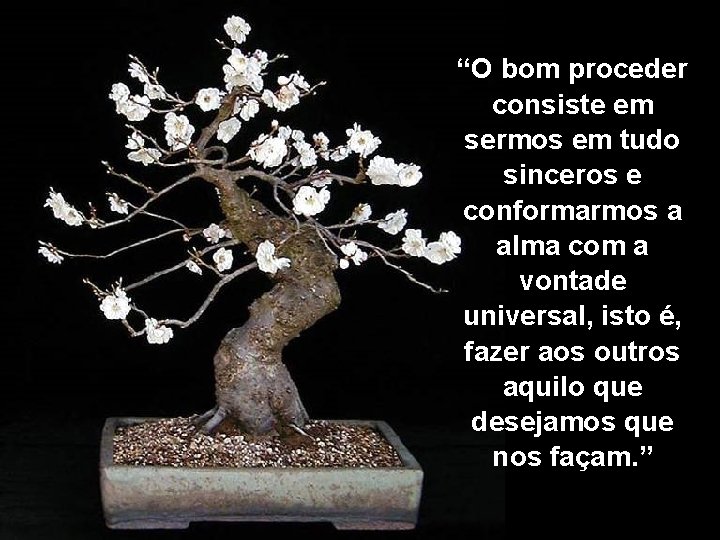 “O bom proceder consiste em sermos em tudo sinceros e conformarmos a alma com