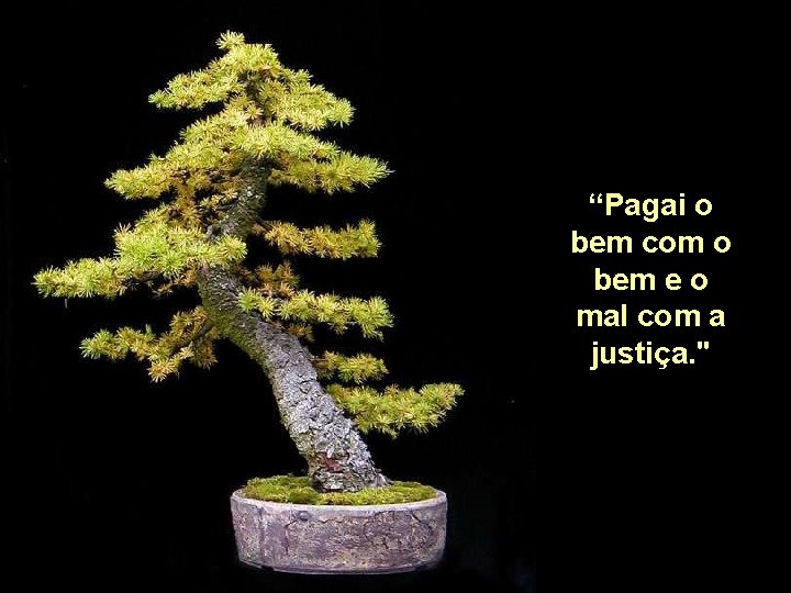 “Pagai o bem com o bem e o mal com a justiça. " 