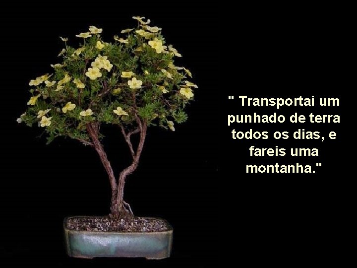 " Transportai um punhado de terra todos os dias, e fareis uma montanha. "