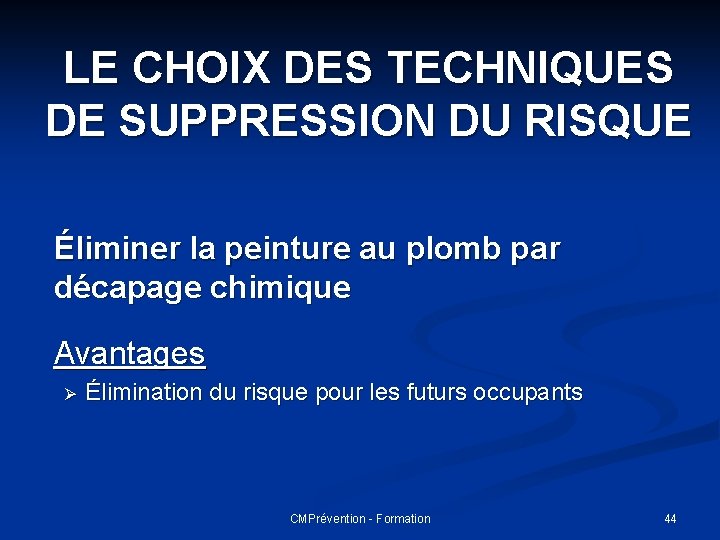 LE CHOIX DES TECHNIQUES DE SUPPRESSION DU RISQUE Éliminer la peinture au plomb par