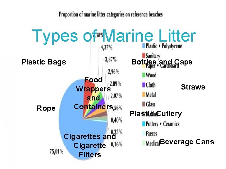 Marine Litter By Luca and Isabel What is