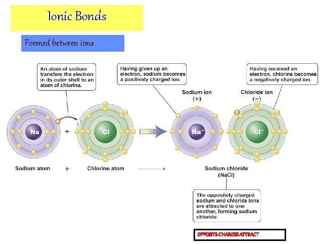 Ionic Bonds Formed between ions OPPOSITE CHARGES ATTRACT 