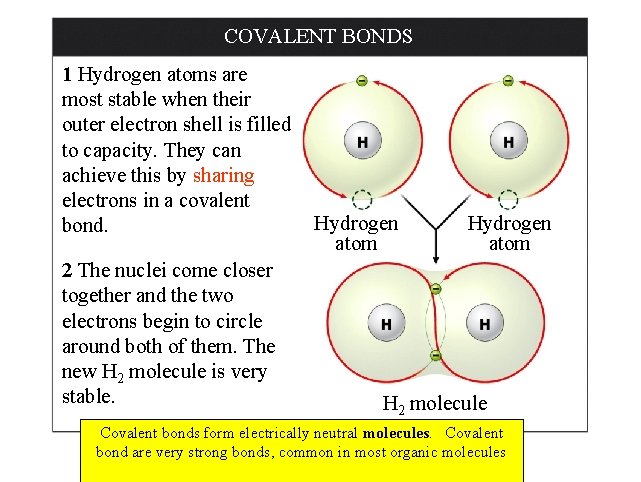 COVALENT BONDS 1 Hydrogen atoms are most stable when their outer electron shell is