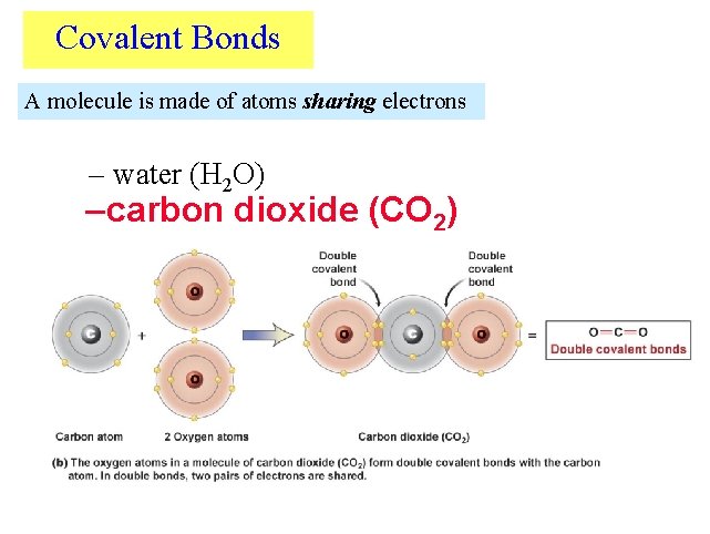 Covalent Bonds A molecule is made of atoms sharing electrons – water (H 2