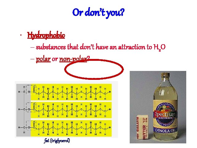 Or don’t you? • Hydrophobic – substances that don’t have an attraction to H