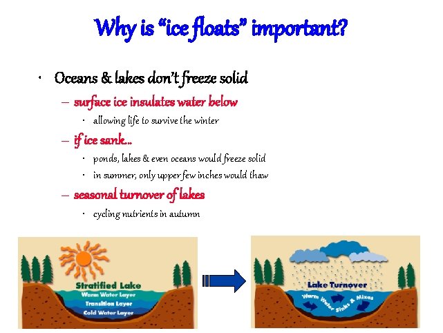 Why is “ice floats” important? • Oceans & lakes don’t freeze solid – surface
