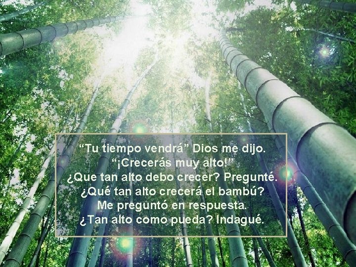 “Tu tiempo vendrá” Dios me dijo. “¡Crecerás muy alto!” ¿Que tan alto debo crecer?