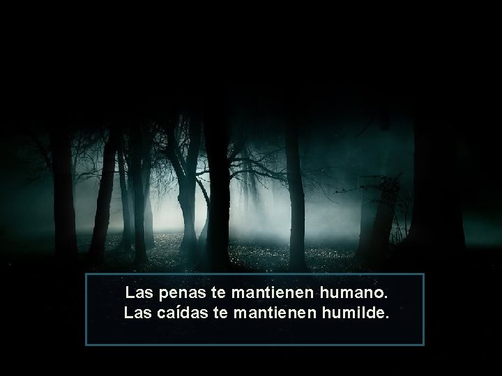 Las penas te mantienen humano. Las caídas te mantienen humilde. 