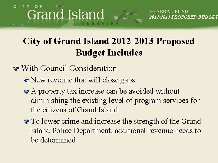 GENERAL FUND 2012/2013 PROPOSED BUDGET City of Grand Island 2012 -2013 Proposed Budget Includes