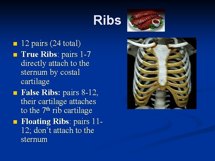 Ribs n n 12 pairs (24 total) True Ribs: pairs 1 -7 directly attach Ribs n n 12 pairs (24 total) True Ribs: pairs 1 -7 directly attach