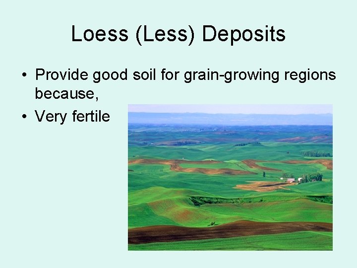 Loess (Less) Deposits • Provide good soil for grain-growing regions because, • Very fertile