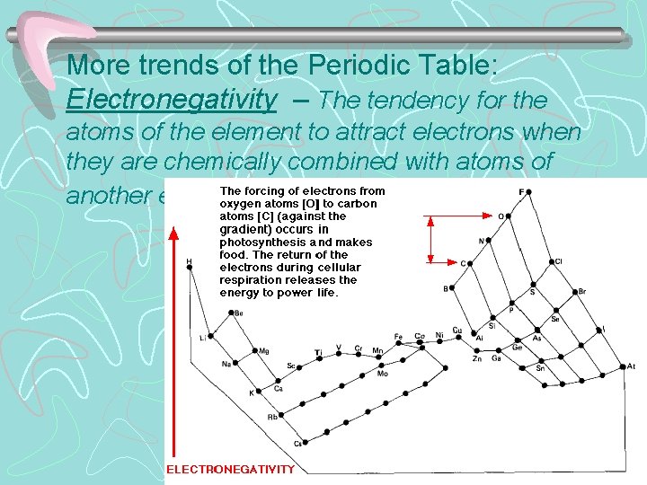 More trends of the Periodic Table: Electronegativity – The tendency for the atoms of