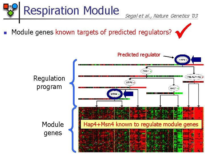 Respiration Module n Segal et al. , Nature Genetics ’ 03 Module genes known