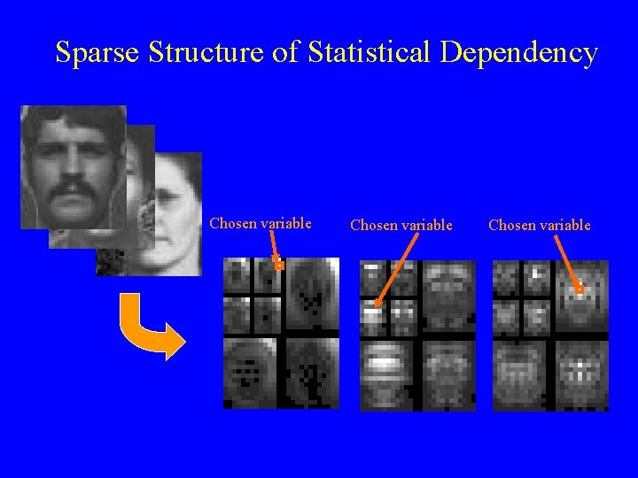 Sparse Structure of Statistical Dependency Chosen variable 