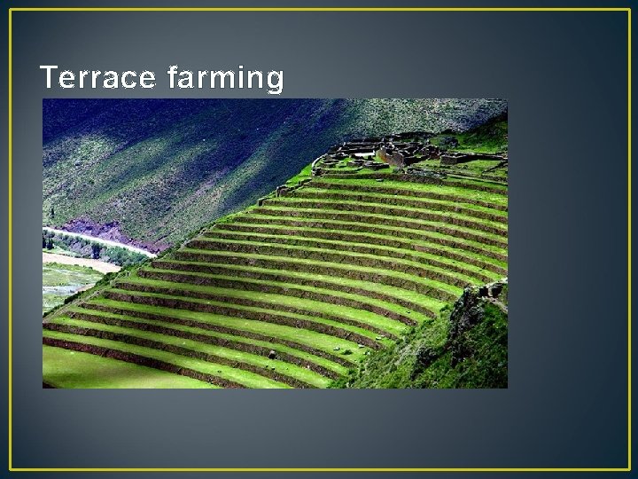 Terrace farming 