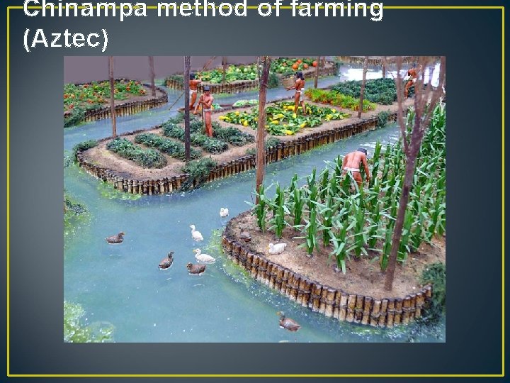 Chinampa method of farming (Aztec) 