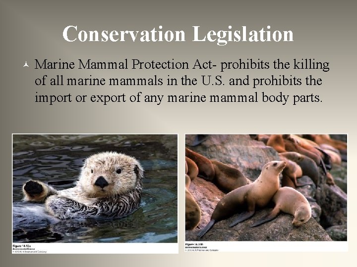 Conservation Legislation © Marine Mammal Protection Act- prohibits the killing of all marine mammals