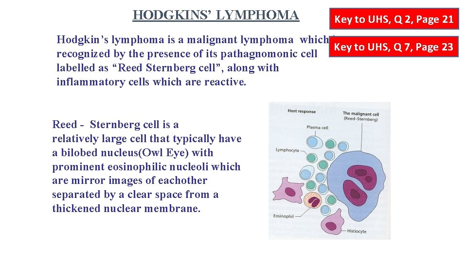 HODGKINS’ LYMPHOMA Key to UHS, Q 2, Page 21 Ø Hodgkin’s lymphoma is a