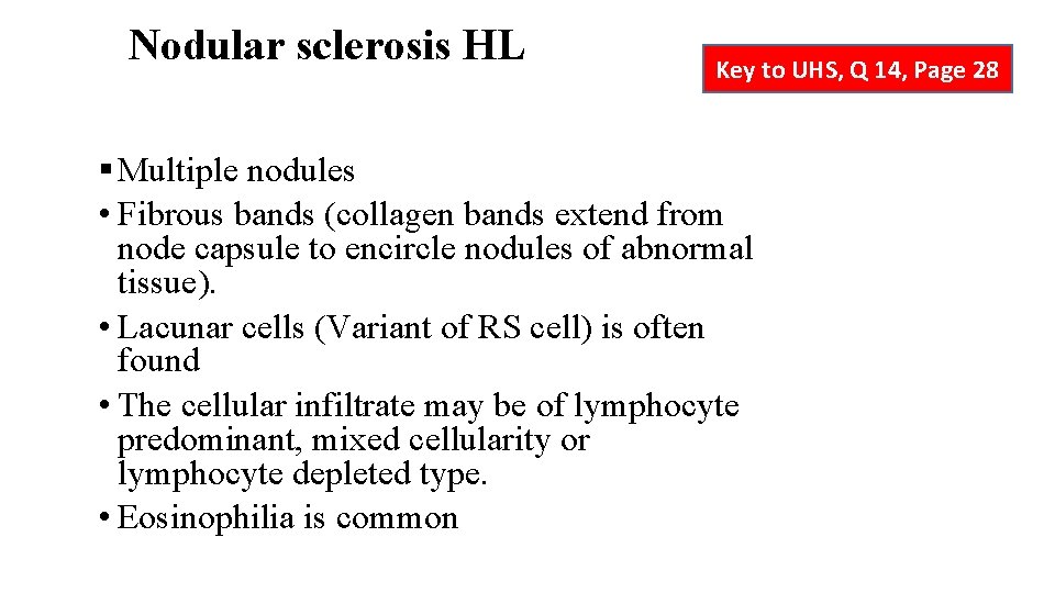 Nodular sclerosis HL Key to UHS, Q 14, Page 28 § Multiple nodules •