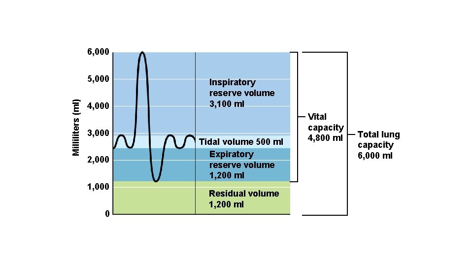 6, 000 Milliliters (ml) 5, 000 4, 000 3, 000 2, 000 1, 000
