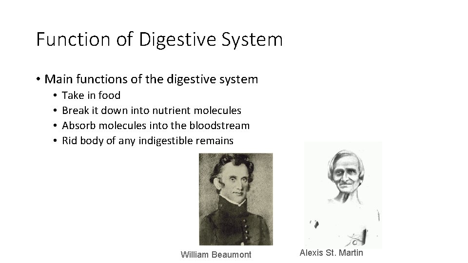 Function of Digestive System • Main functions of the digestive system • • Take