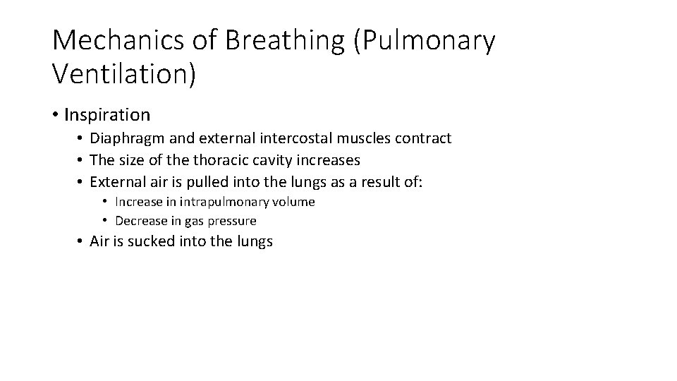 Mechanics of Breathing (Pulmonary Ventilation) • Inspiration • Diaphragm and external intercostal muscles contract
