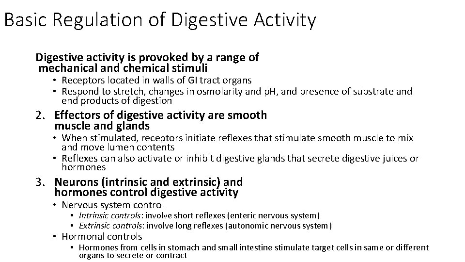 Basic Regulation of Digestive Activity Digestive activity is provoked by a range of mechanical