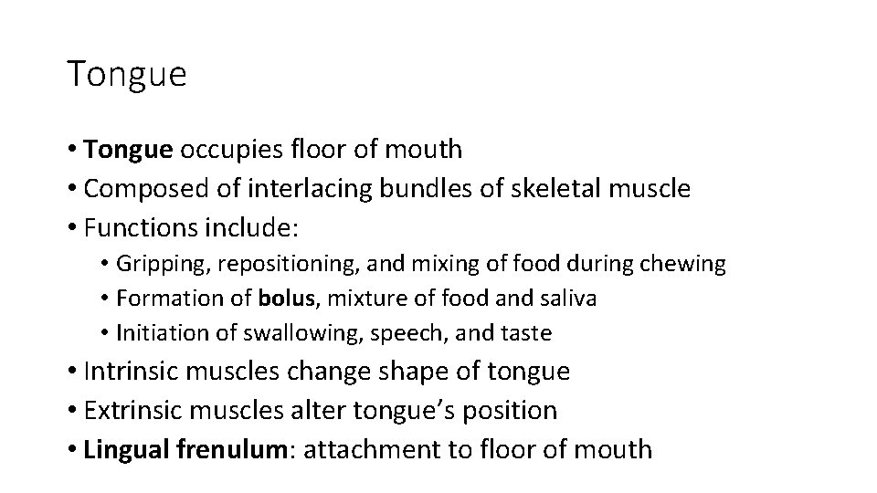 Tongue • Tongue occupies floor of mouth • Composed of interlacing bundles of skeletal