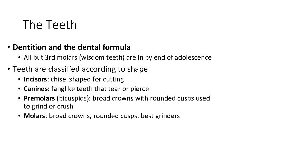 The Teeth • Dentition and the dental formula • All but 3 rd molars