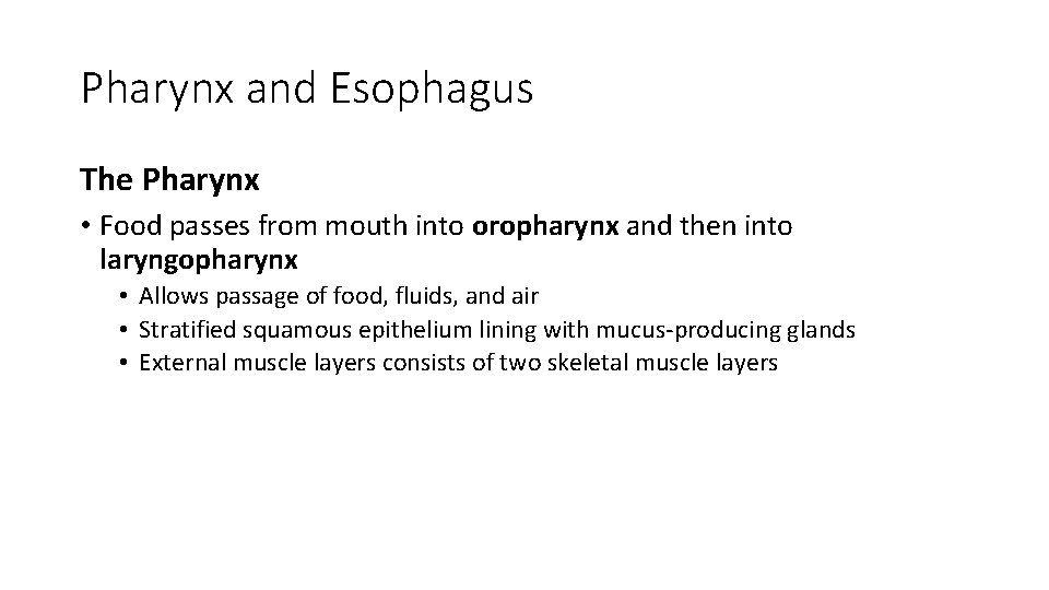 Pharynx and Esophagus The Pharynx • Food passes from mouth into oropharynx and then