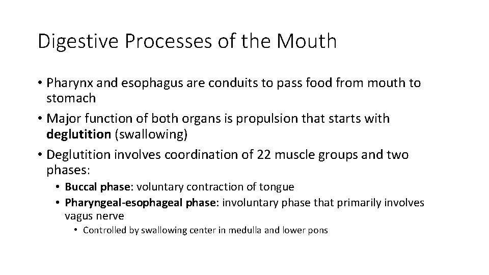 Digestive Processes of the Mouth • Pharynx and esophagus are conduits to pass food