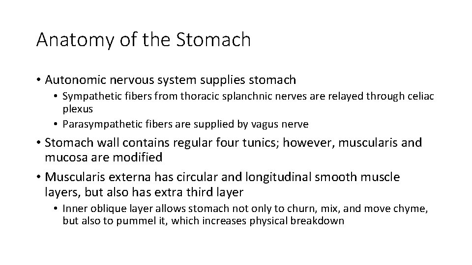 Anatomy of the Stomach • Autonomic nervous system supplies stomach • Sympathetic fibers from