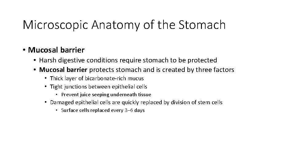 Microscopic Anatomy of the Stomach • Mucosal barrier • Harsh digestive conditions require stomach