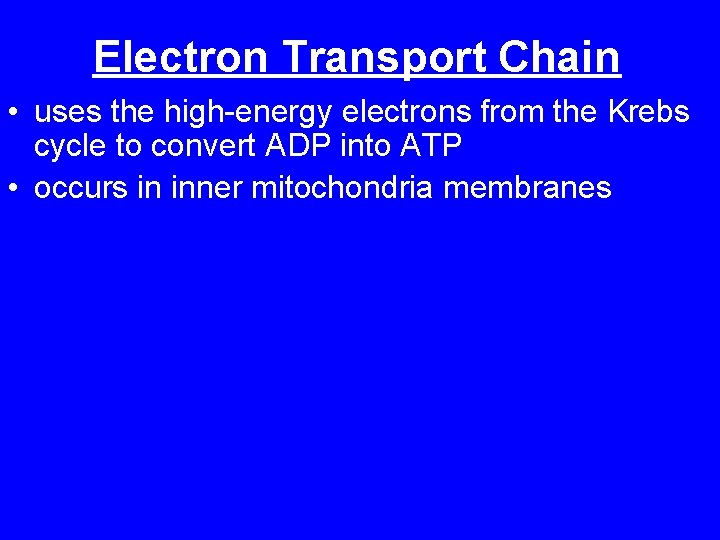 Electron Transport Chain • uses the high-energy electrons from the Krebs cycle to convert