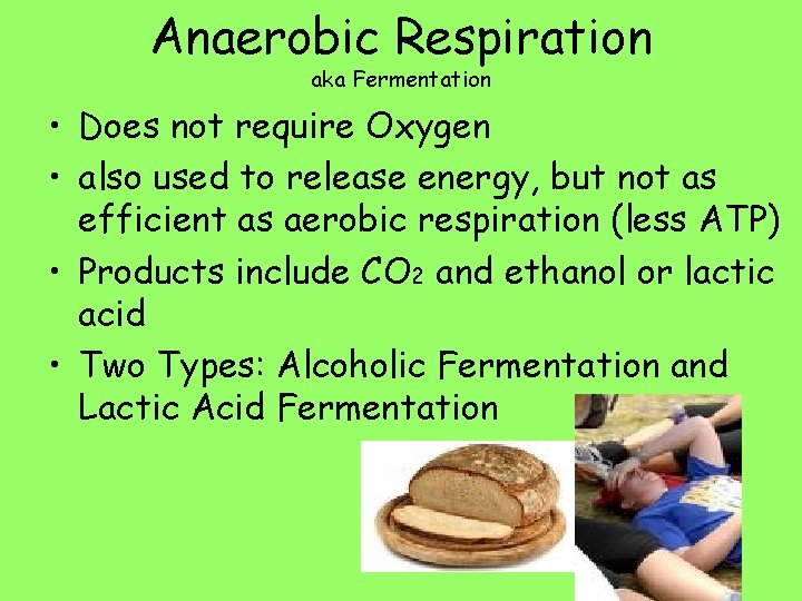 Anaerobic Respiration aka Fermentation • Does not require Oxygen • also used to release