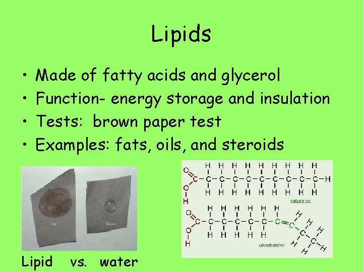 Lipids • • Made of fatty acids and glycerol Function- energy storage and insulation