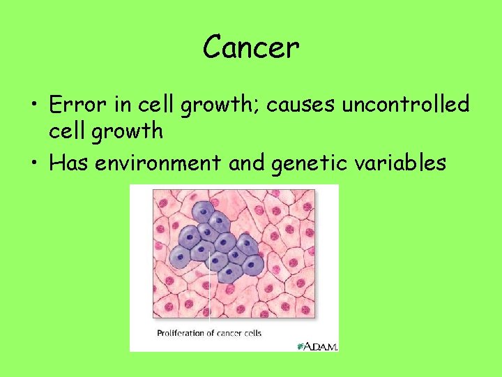 Cancer • Error in cell growth; causes uncontrolled cell growth • Has environment and