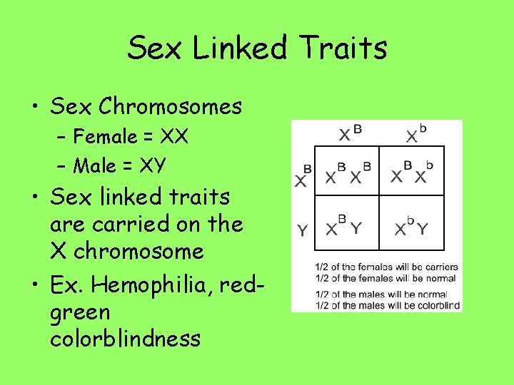 Sex Linked Traits • Sex Chromosomes – Female = XX – Male = XY