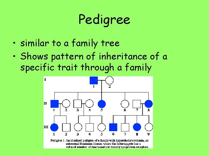 Pedigree • similar to a family tree • Shows pattern of inheritance of a