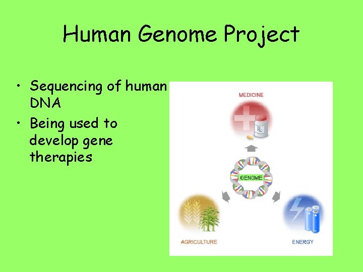 Human Genome Project • Sequencing of human DNA • Being used to develop gene