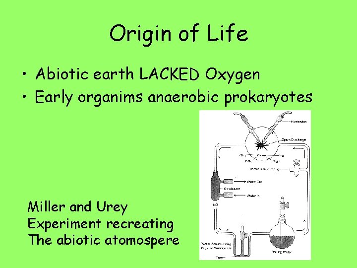 Origin of Life • Abiotic earth LACKED Oxygen • Early organims anaerobic prokaryotes Miller