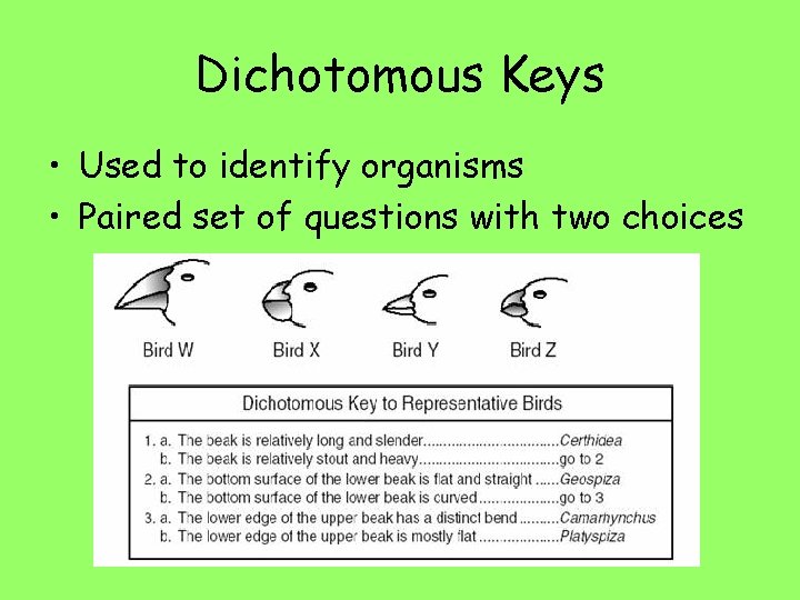 Dichotomous Keys • Used to identify organisms • Paired set of questions with two