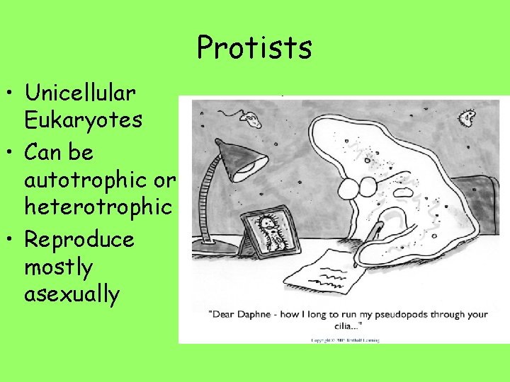 Protists • Unicellular Eukaryotes • Can be autotrophic or heterotrophic • Reproduce mostly asexually